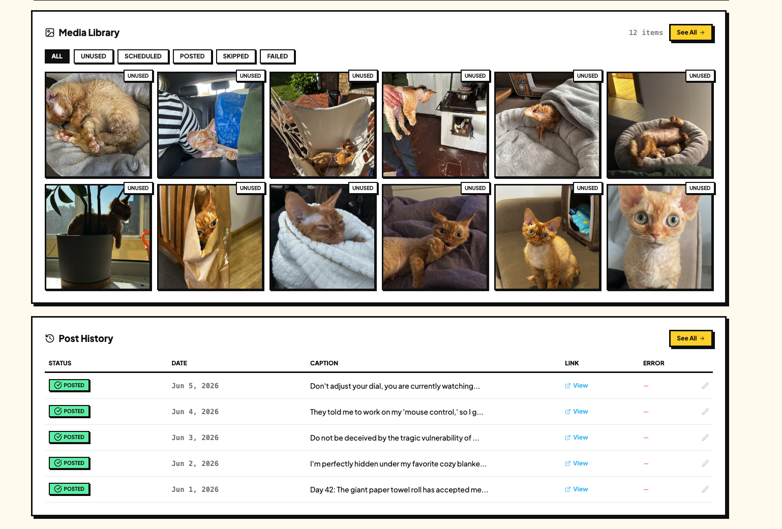 PawEachDay — Pet Instagram on Autopilot preview 3