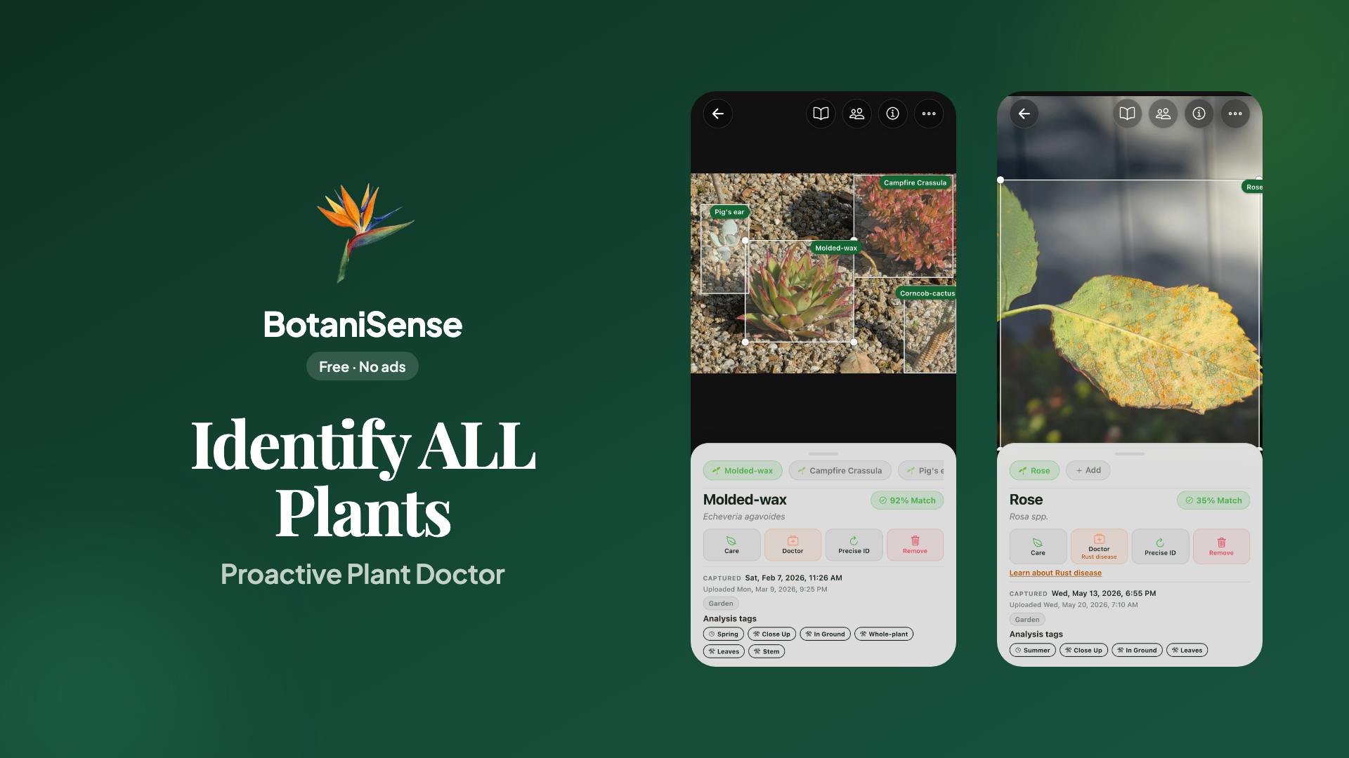 BotaniSense preview 2