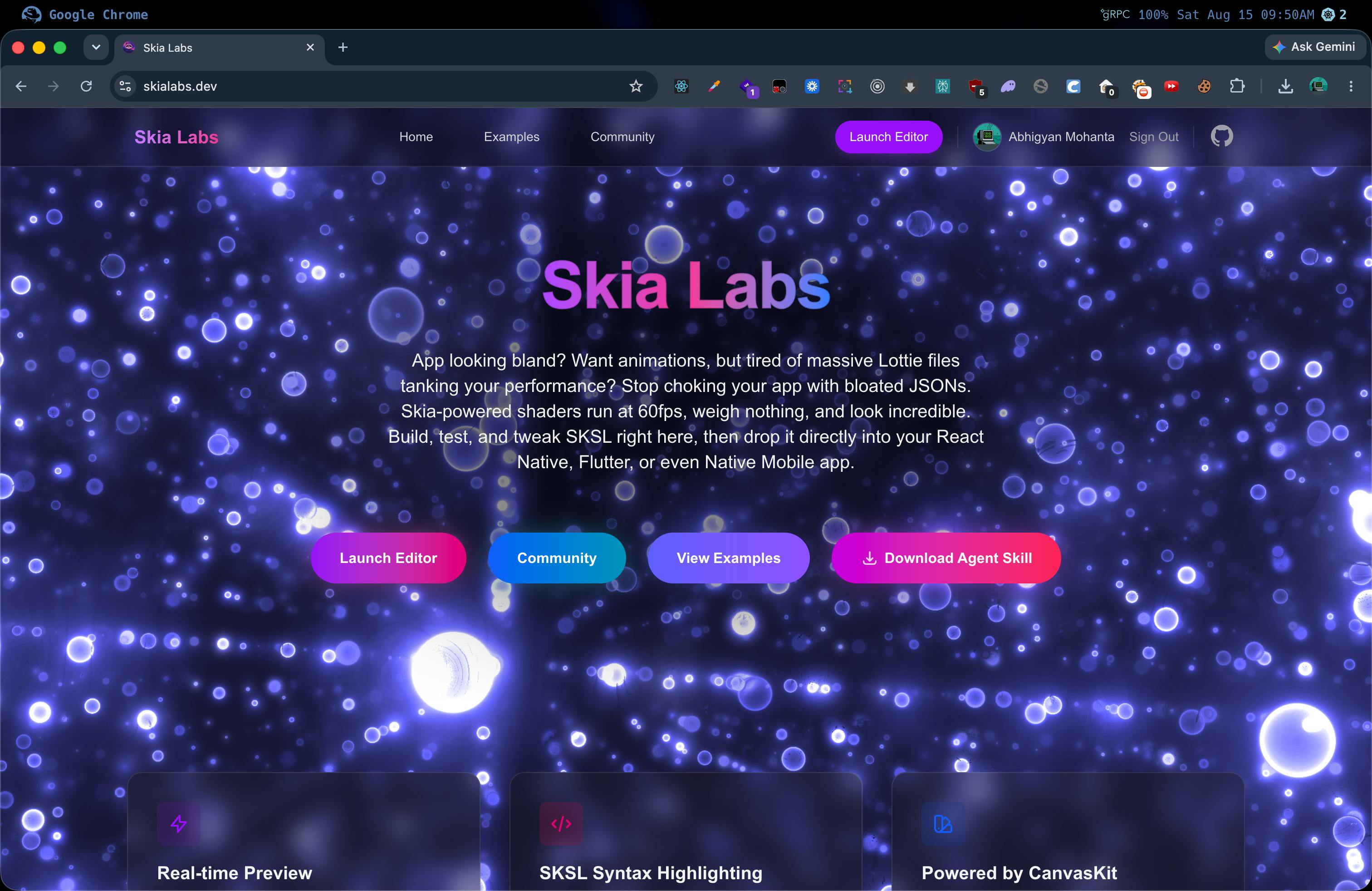 Skia Labs preview 6