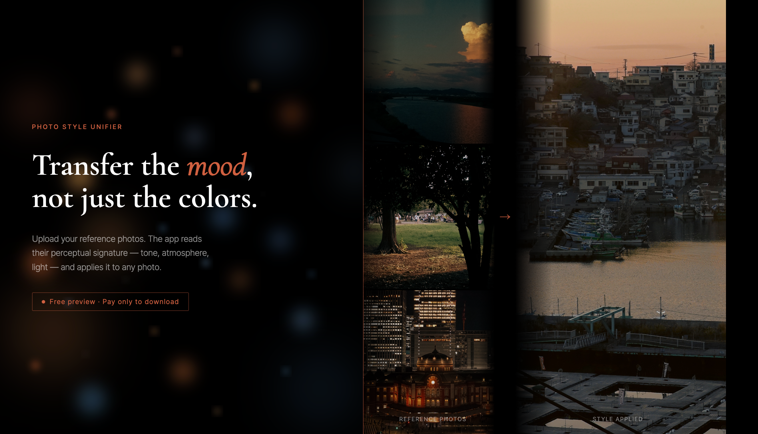 Photo Style Unifier preview 2