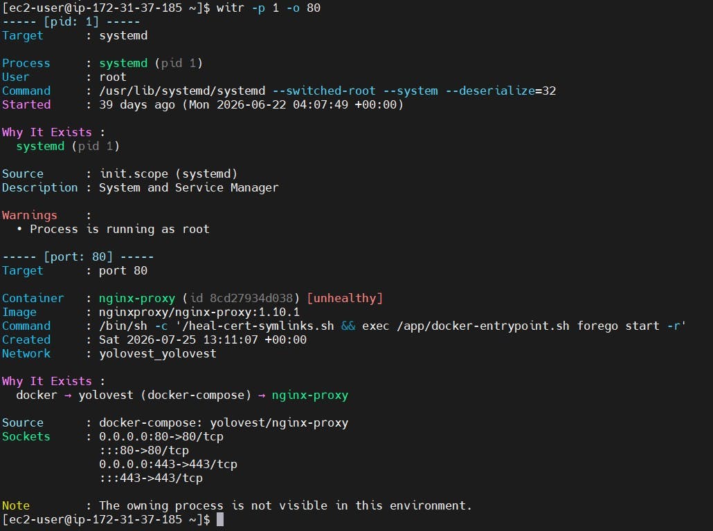 witr preview 6