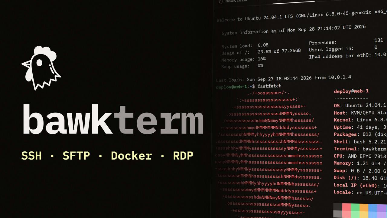 bawkterm preview 4