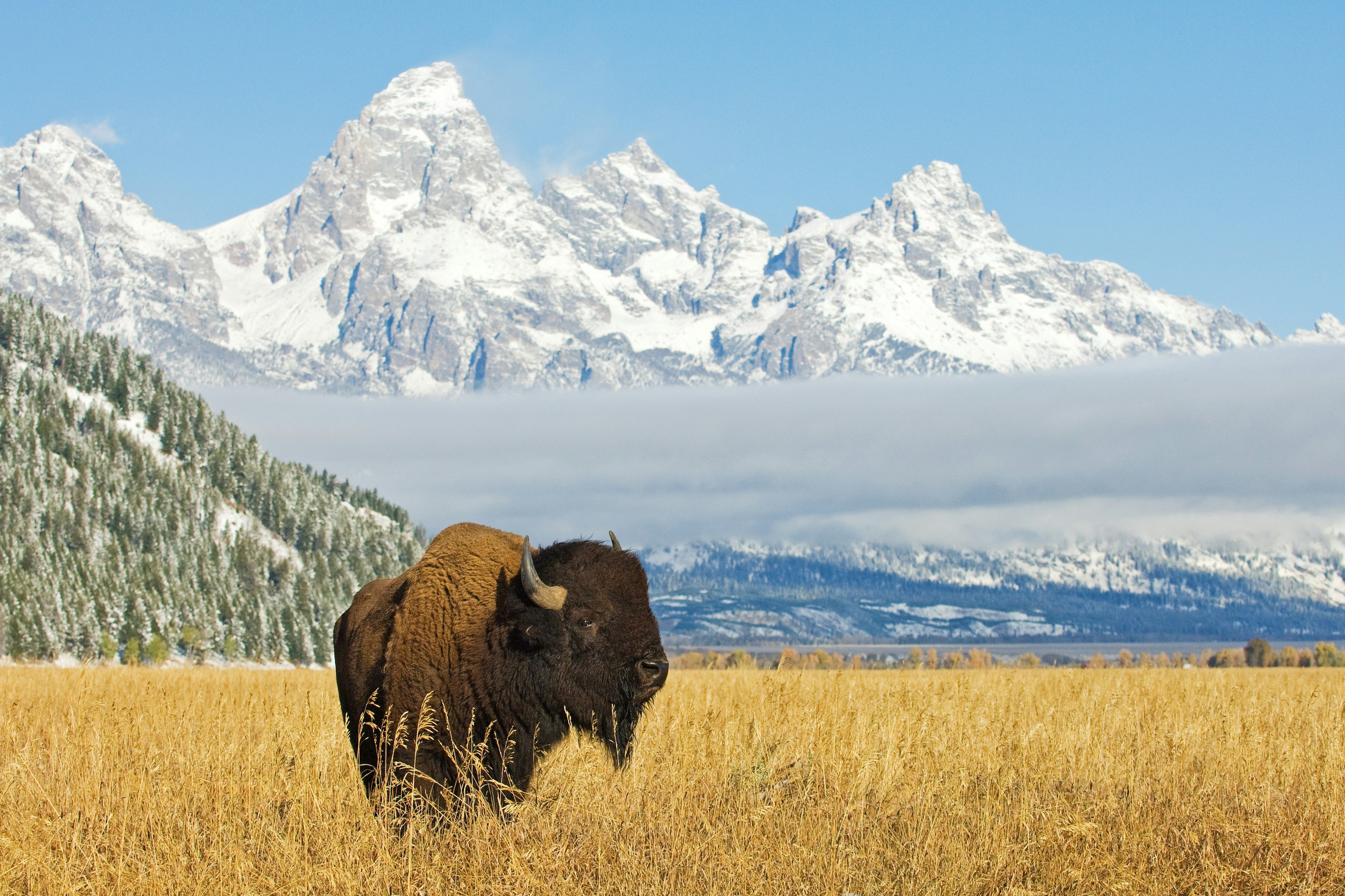 5 free mountaineering planning tools. preview 3