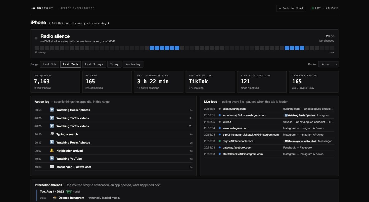 DNSight preview 4