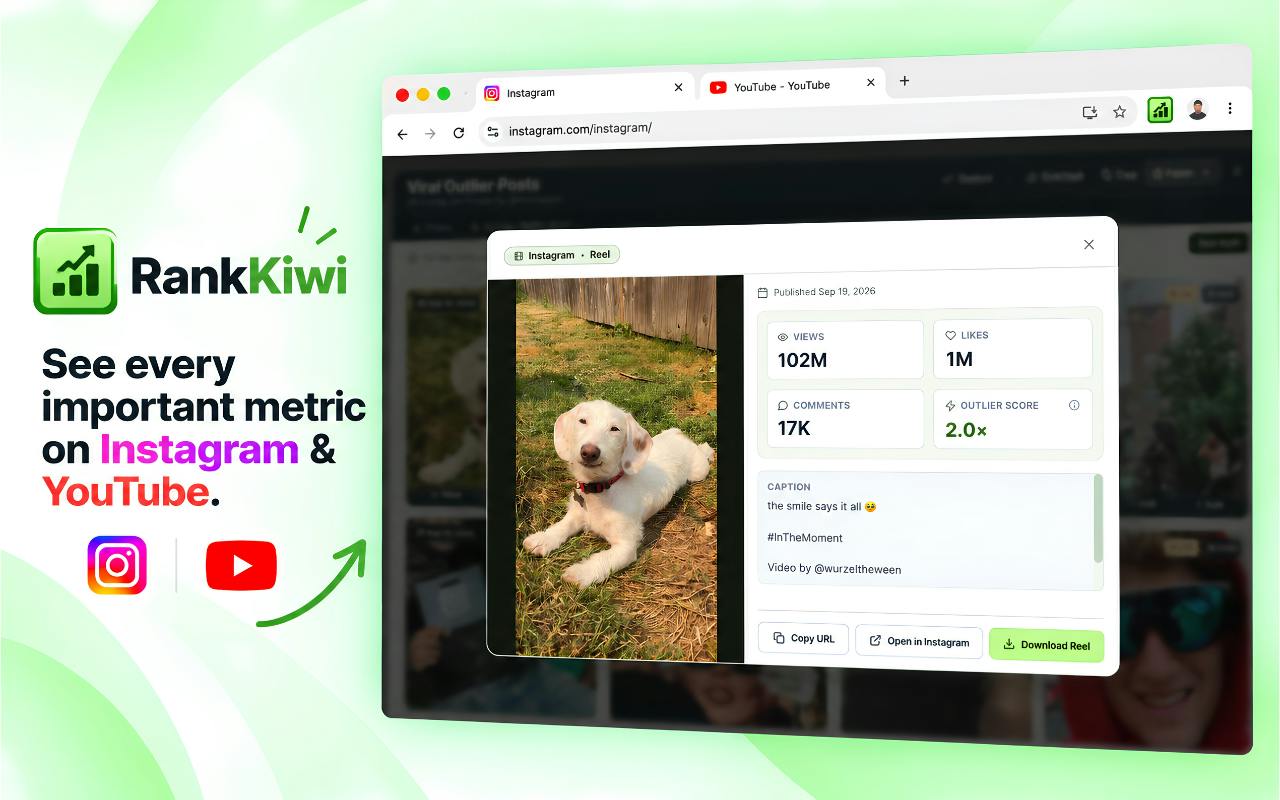 Rank Kiwi preview 5