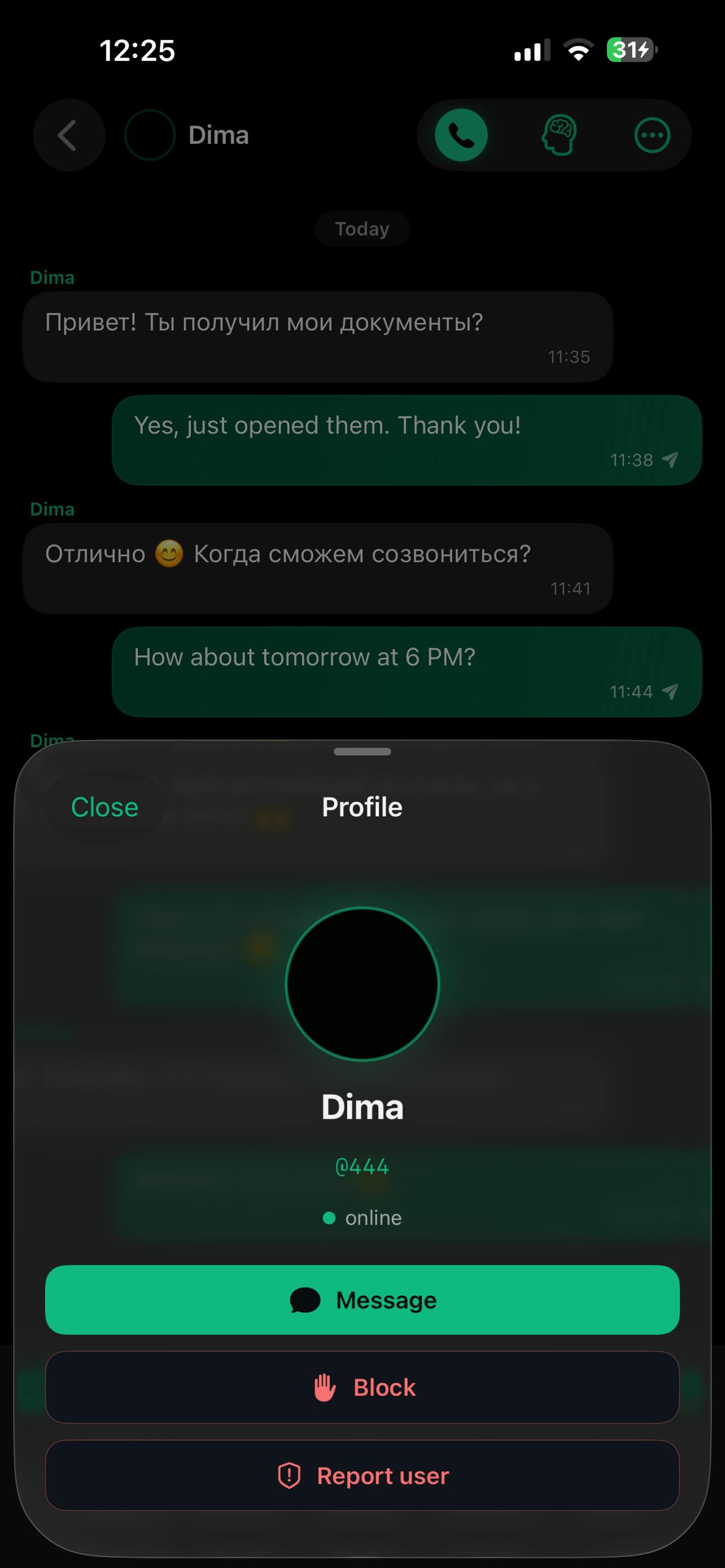 Lingua preview 4