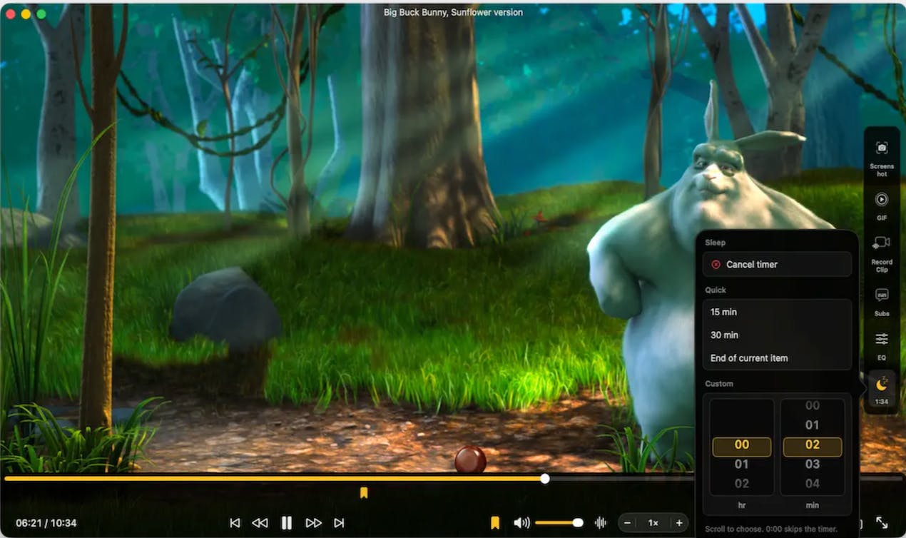 ChirpPlayer preview 3