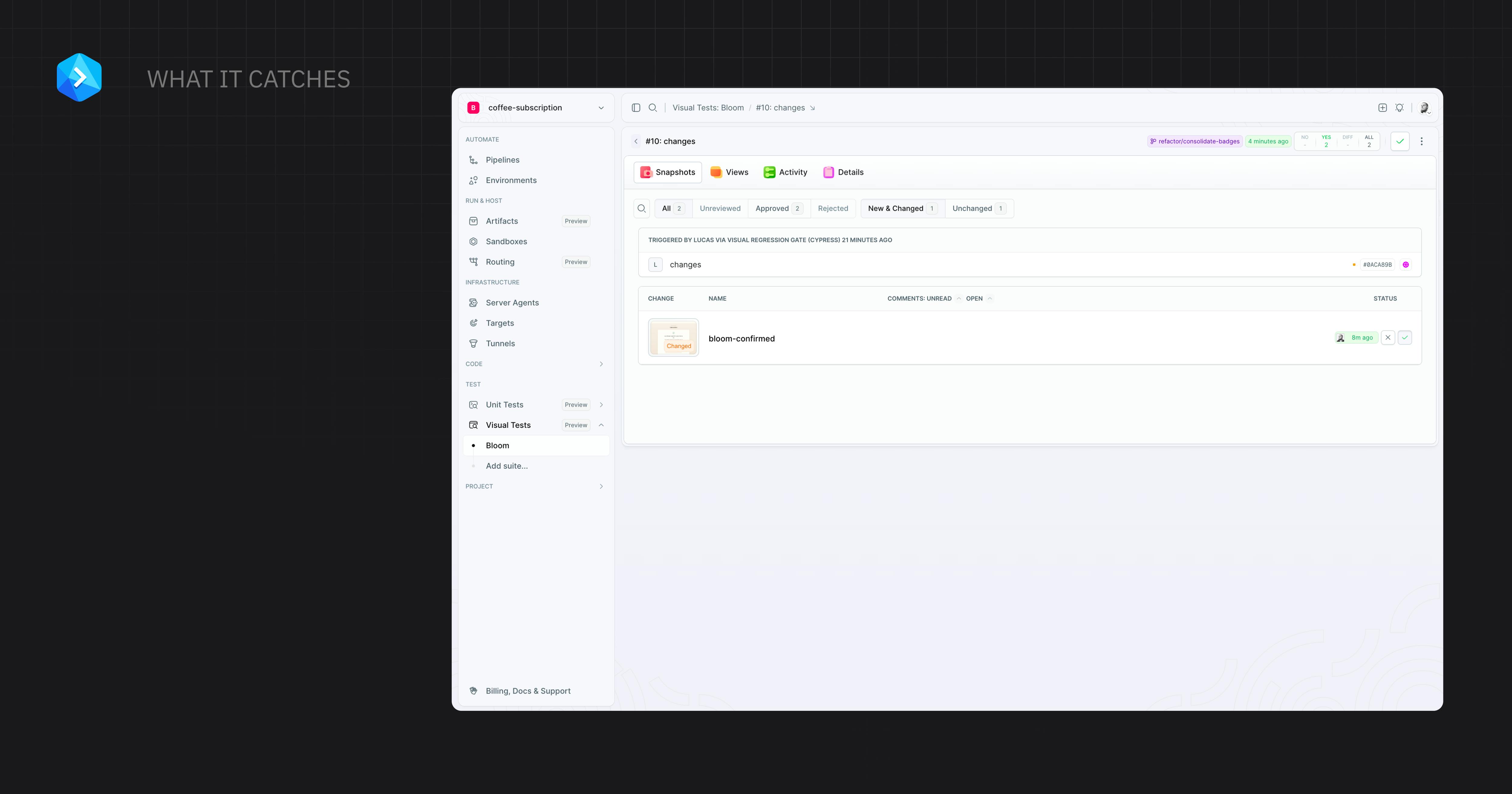 Buddy Visual Tests preview 6