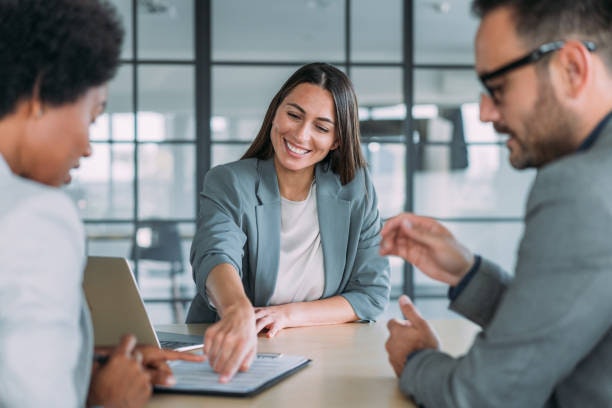 Wise SMSF Audits preview 1