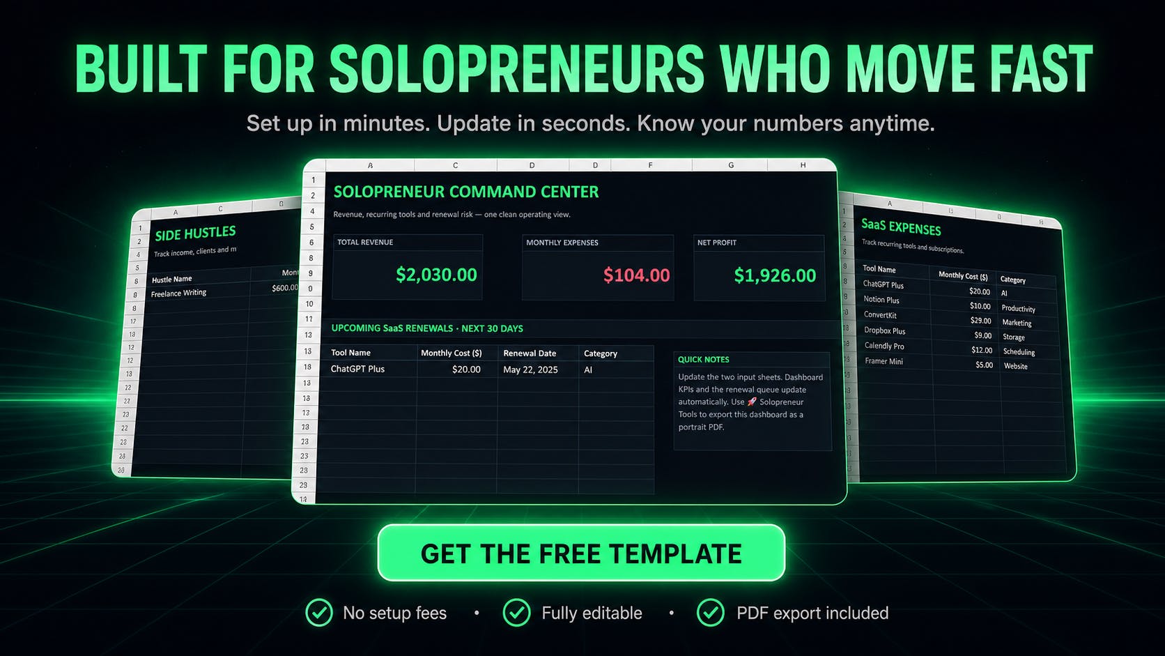 Solopreneur SaaS & Side Hustle Tracker preview 3