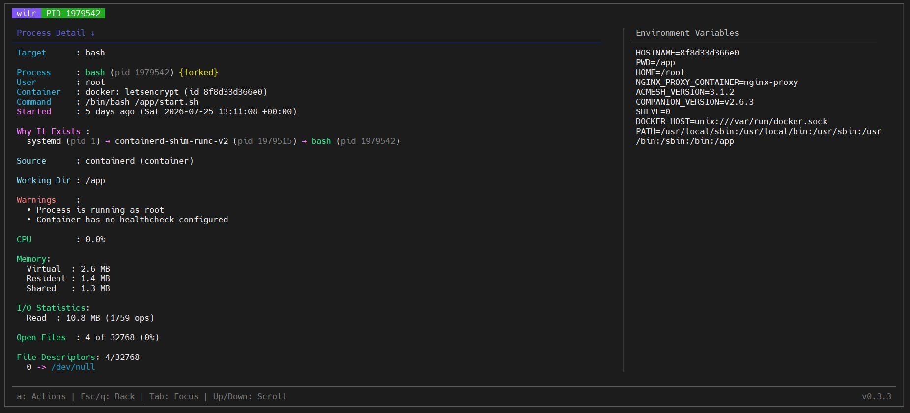 witr preview 5