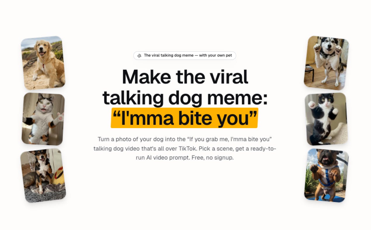 Talking Pet Video Prompt Generator preview 4