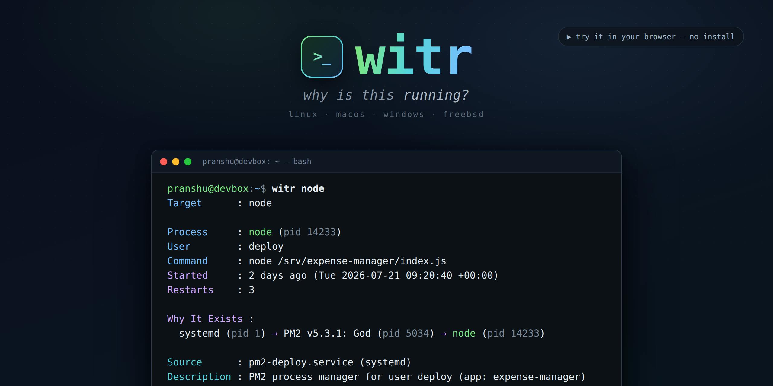 witr preview 2