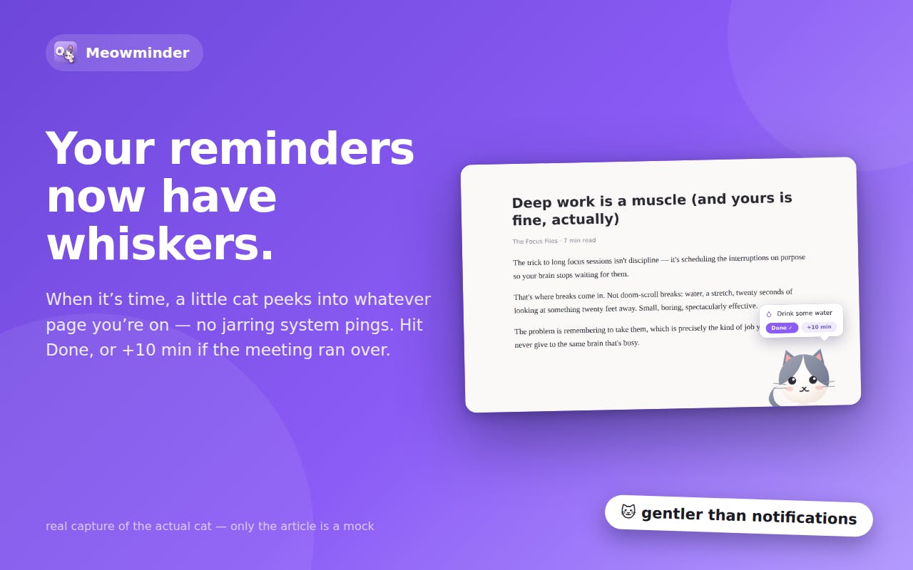 Meowminder preview 2