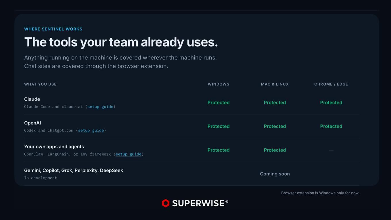 SUPERWISE Sentinel preview 4