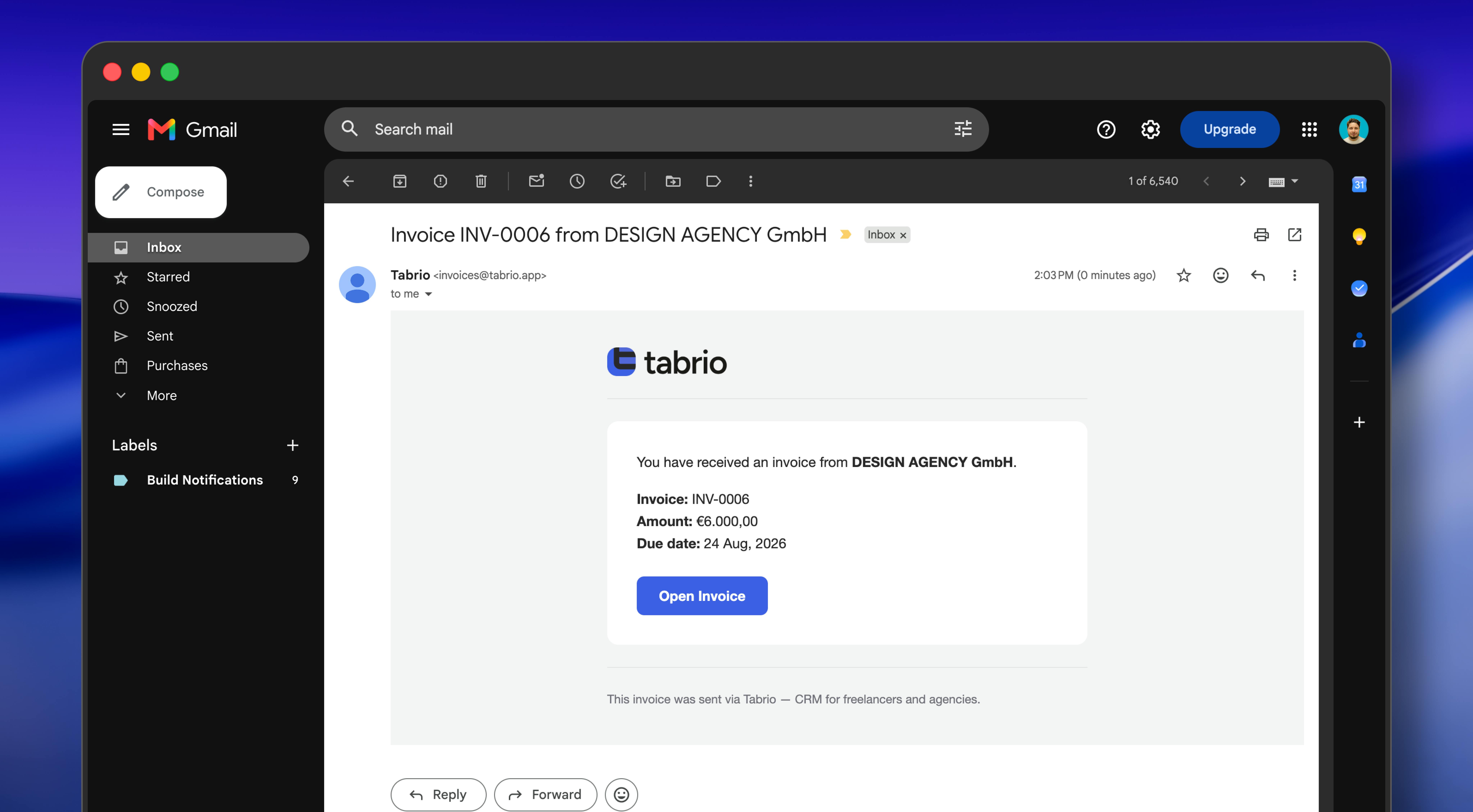 Tabrio preview 5