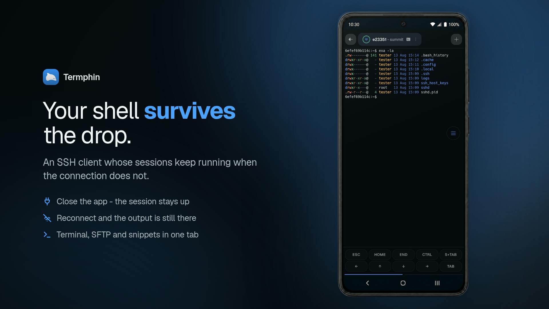 Termphin preview 2