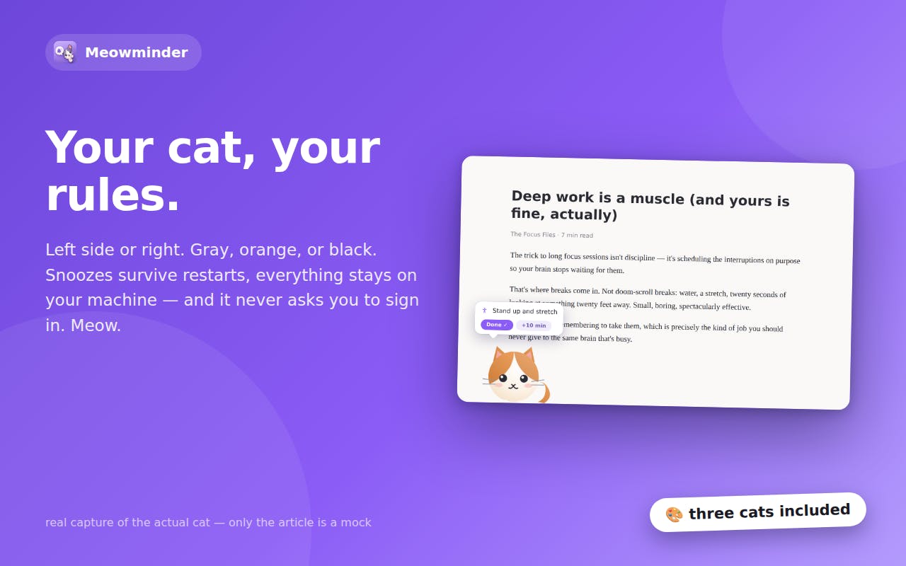 Meowminder preview 3