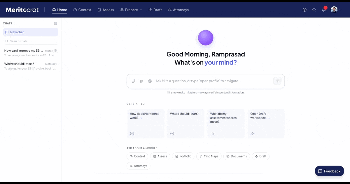 Meritocrat preview 1