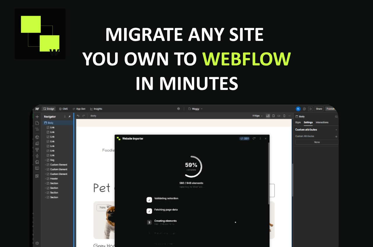 Website Importer for Webflow preview 2