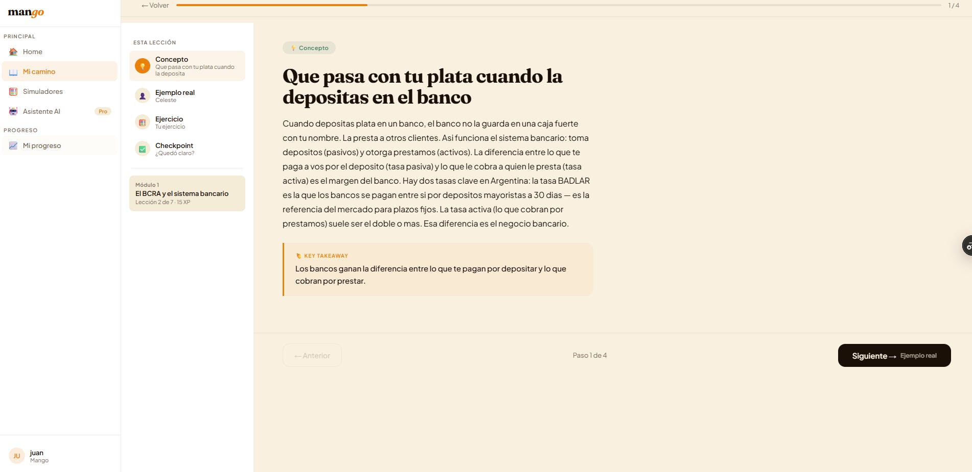 Mango — Tu plata, en serio. preview 3
