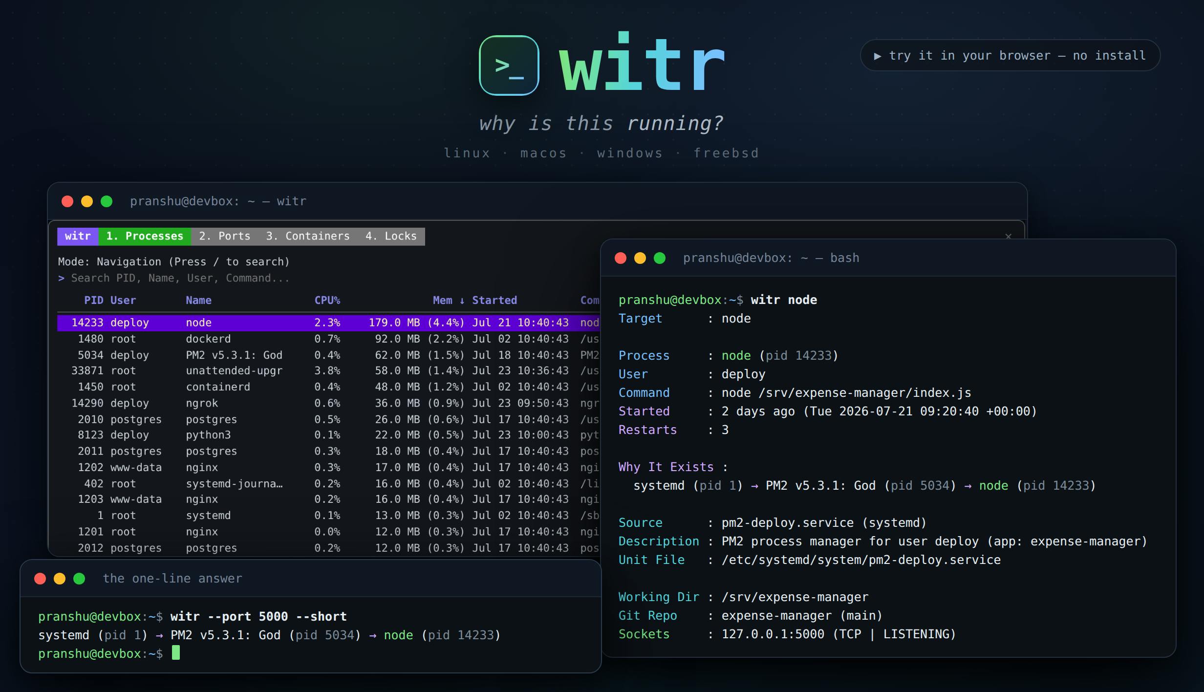 witr preview 3
