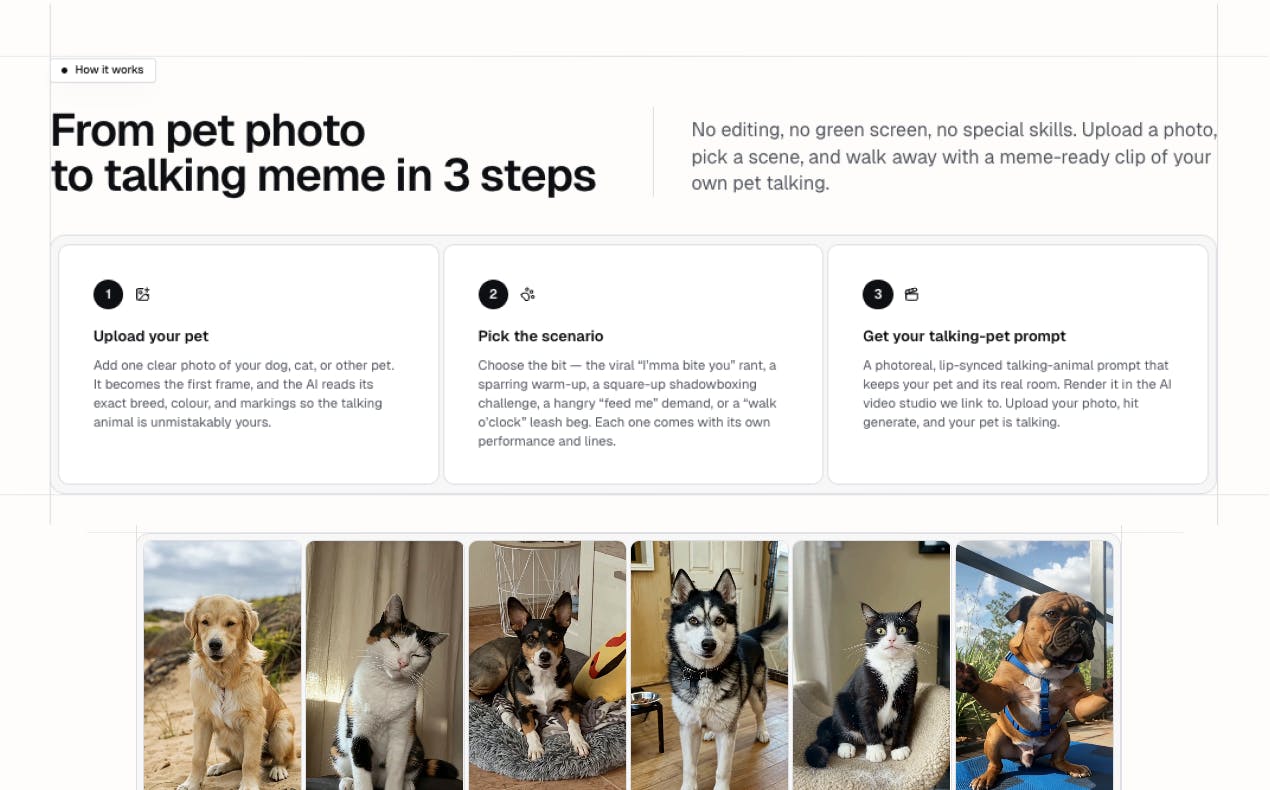 Talking Pet Video Prompt Generator preview 2